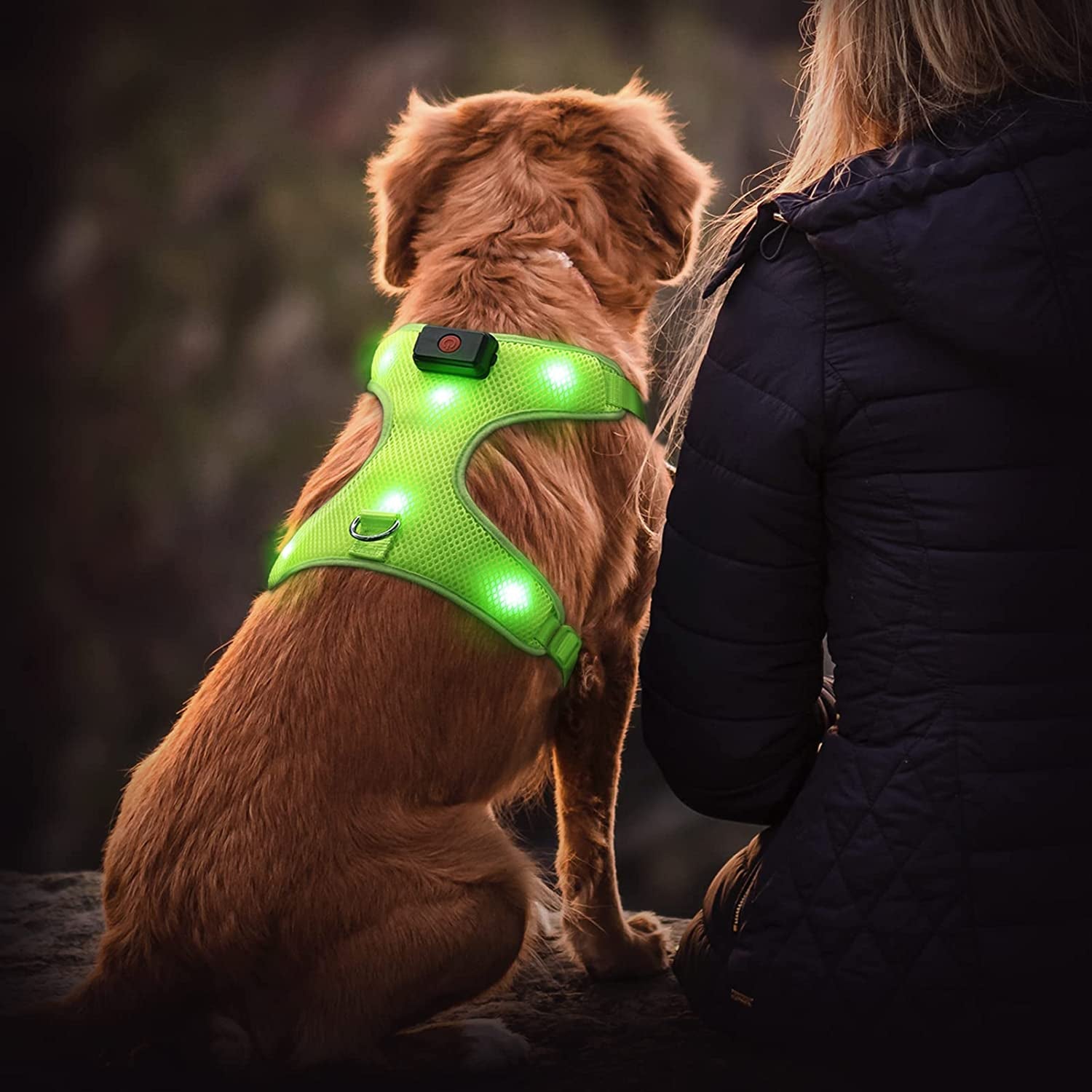 LED Dog Harness, Lighted up USB Rechargeable Pet Harness, Illuminated Reflective Glowing Dog Vest Adjustable Soft Padded No-Pull Suit for Small, Medium, Large Dogs (Green, S)