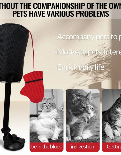 Load image into Gallery viewer, New Connects Punching Bag with Boxing Gloves Filled with Catnip Cat Boxing Toys
